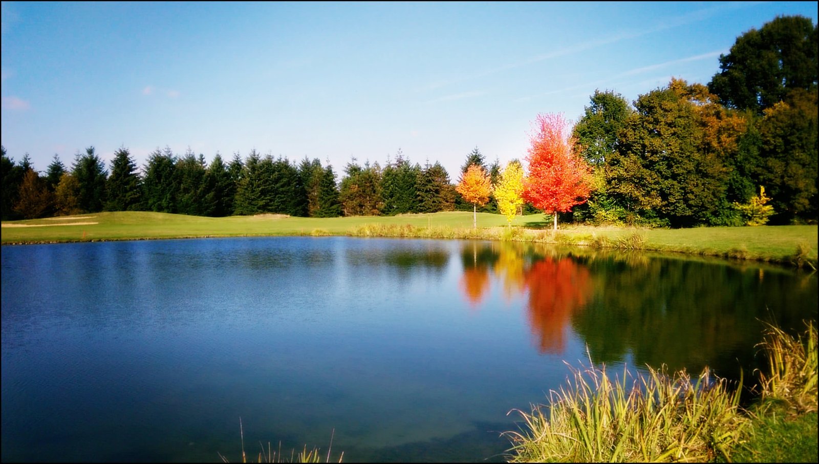 Golf d’Étiolles - Green et bunkers
