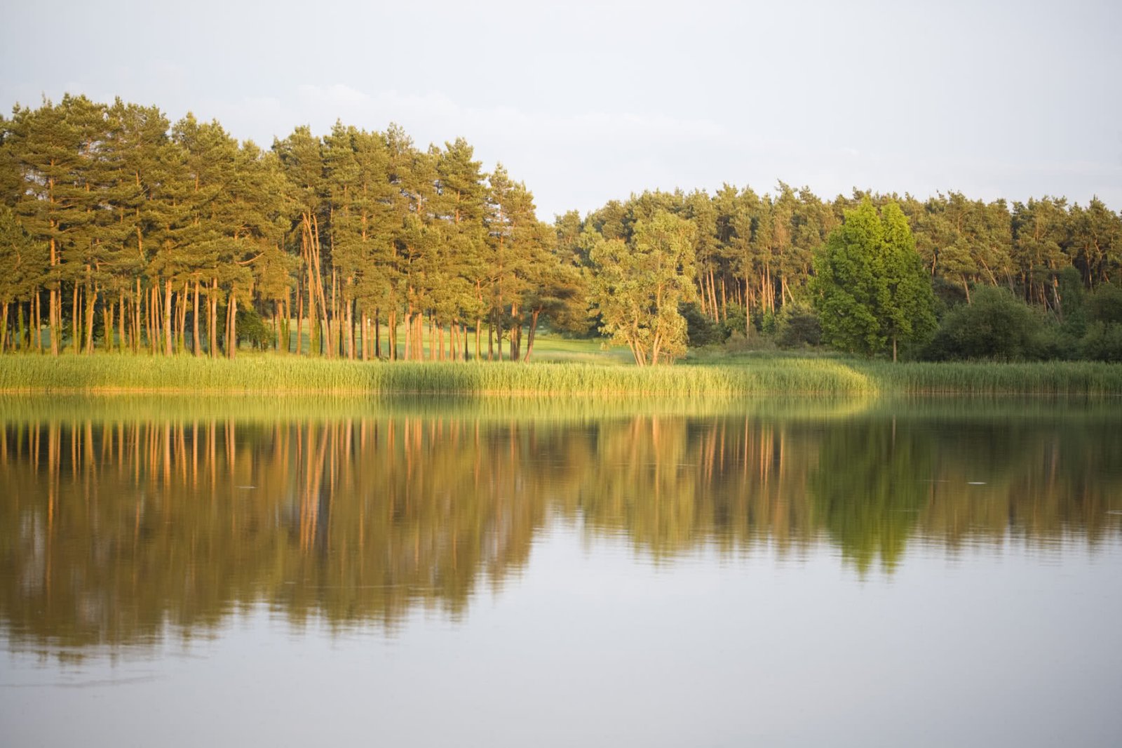 Golf du Château de Cheverny - Green et bunkers