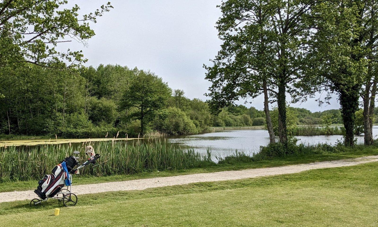 Golf du Château de Cheverny - Panorama du parcours de golf
