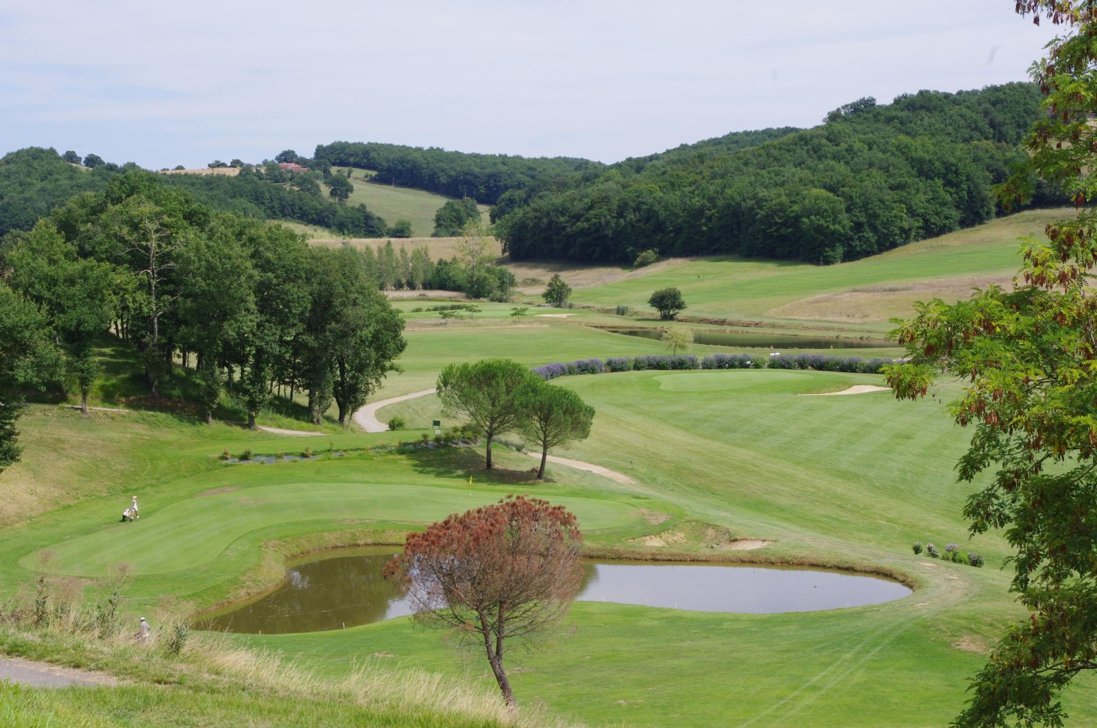 Golf Golf du Château de Pallanne