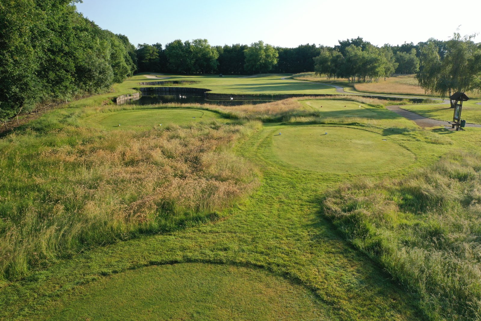 Golf du Gouverneur - Green et bunkers