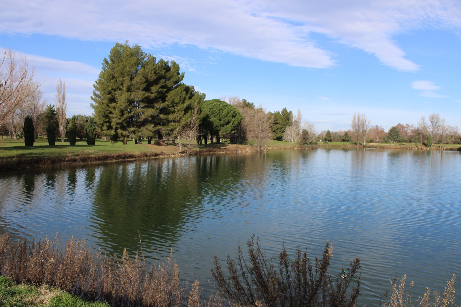 Golf Golf du Grand Avignon