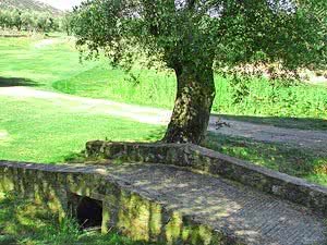 Golf du Reginu - Fairway et green du parcours