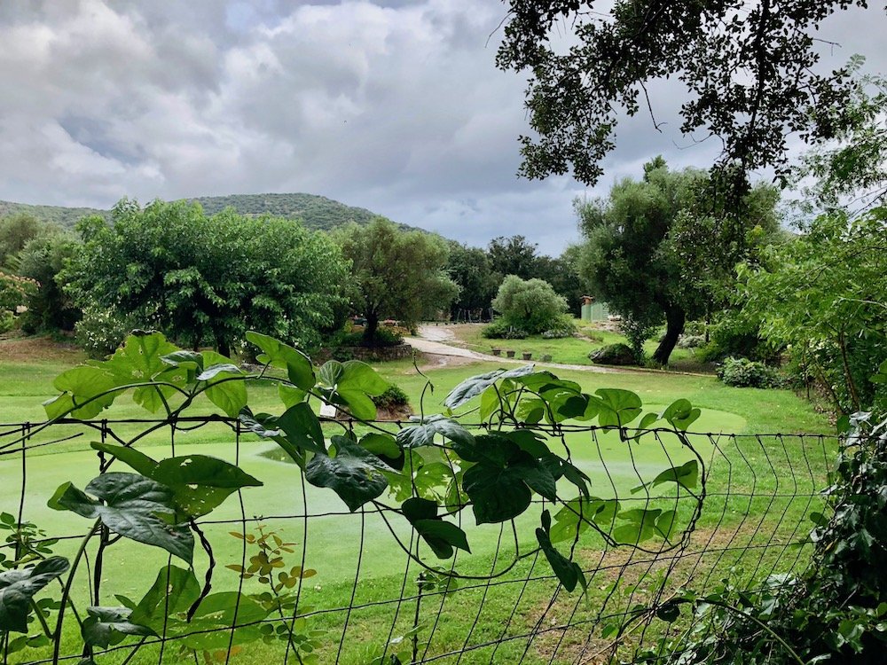 Golf du Reginu - Panorama du parcours de golf