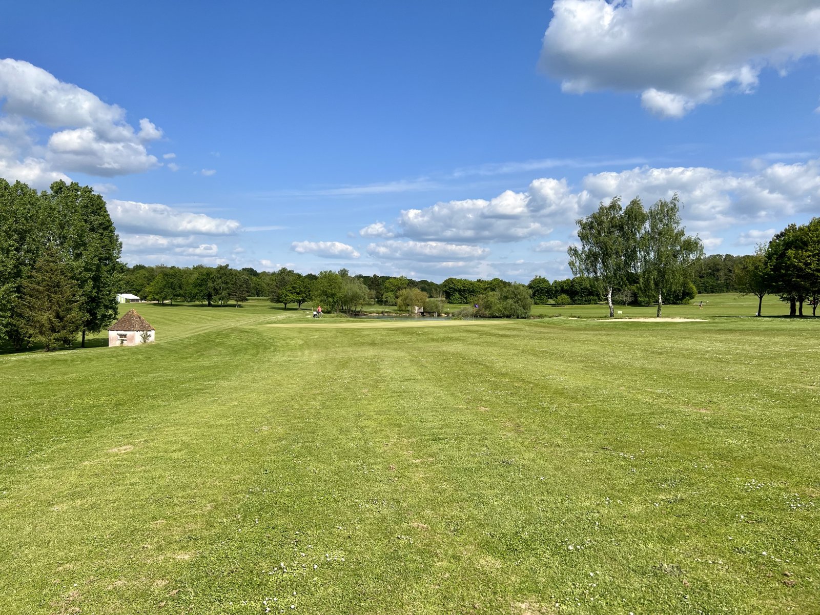 Golf du Senonais - Green et bunkers