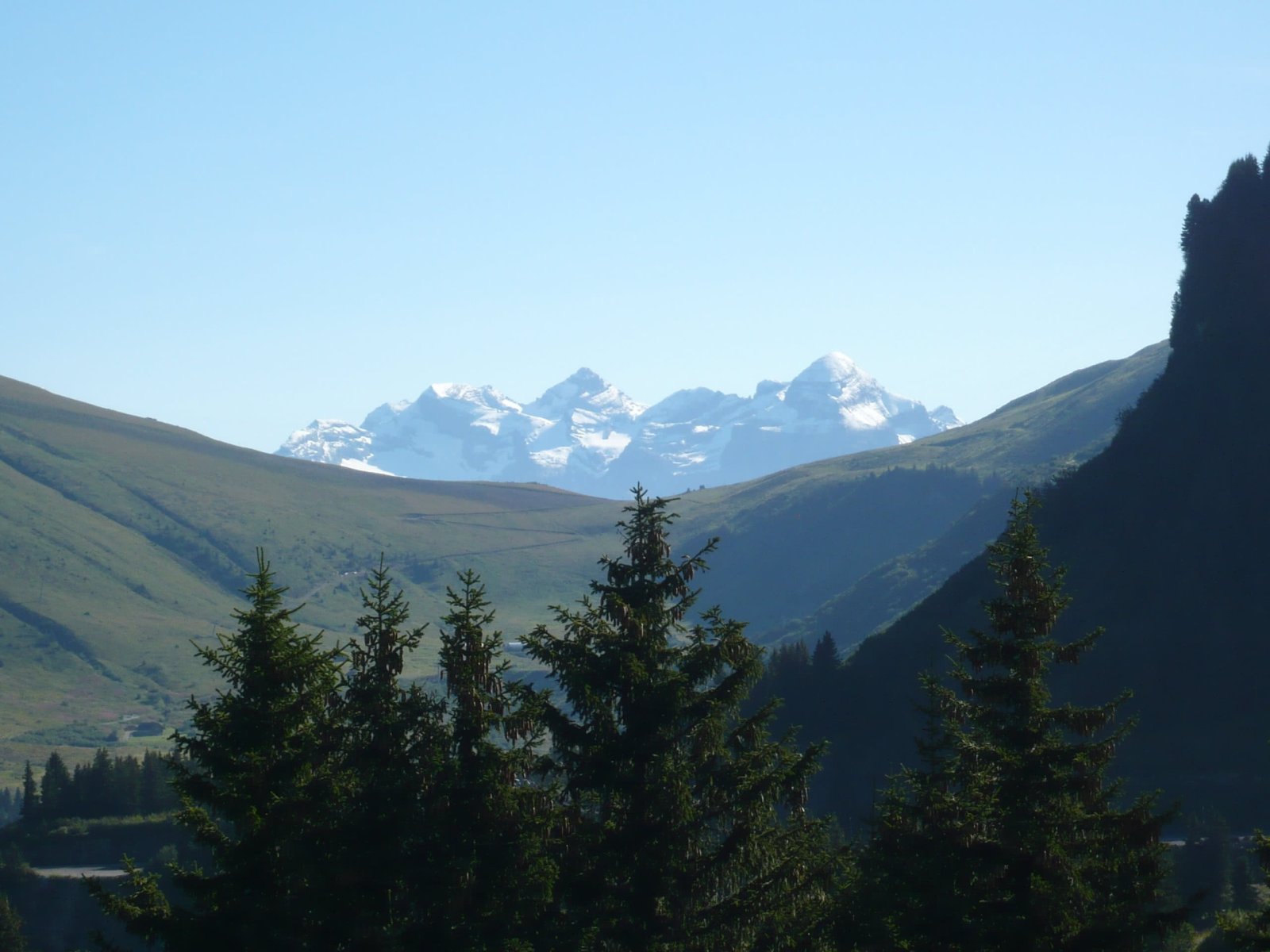 Golf de Flaine les Carroz - Green et bunkers