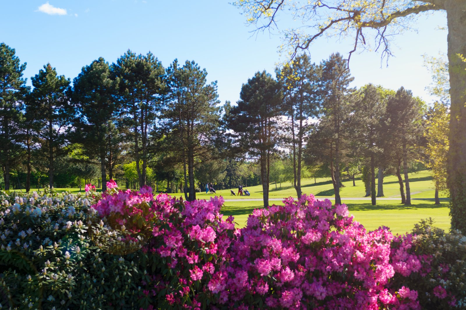 saint Malo Golf Resort - Panorama du parcours de golf
