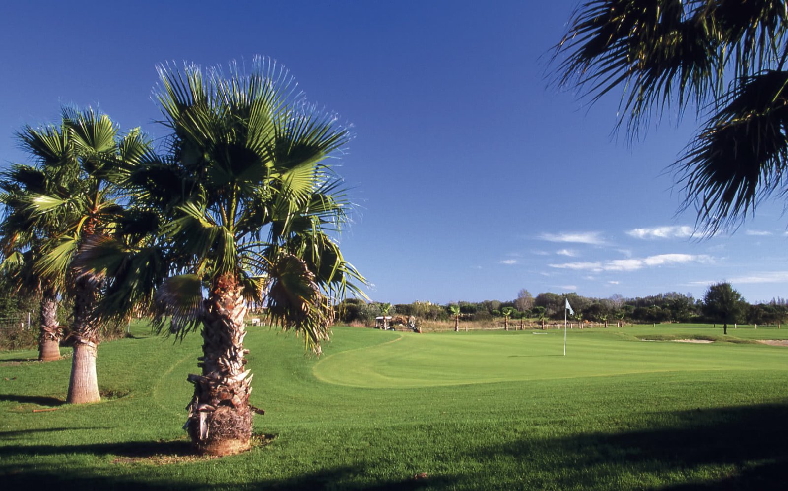 Golf International du Cap d’Agde - Green et bunkers