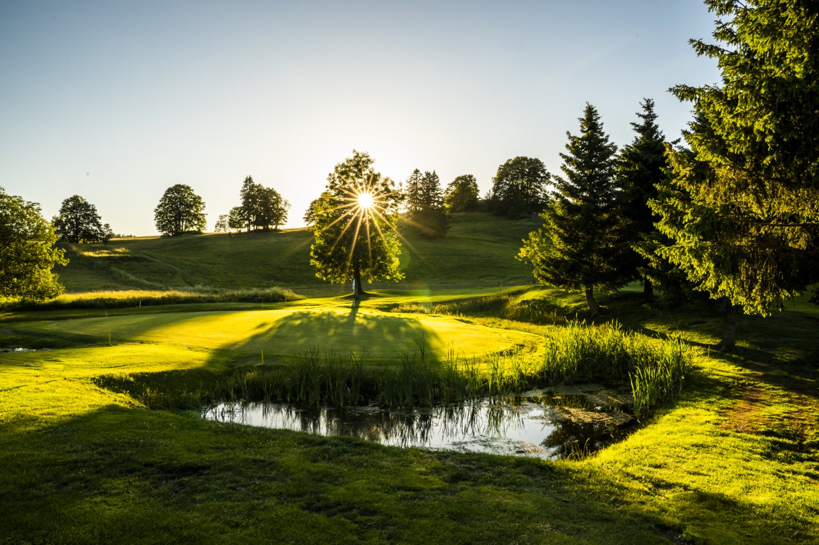 Golf Pontarlier les Etraches - Fairway et green du parcours