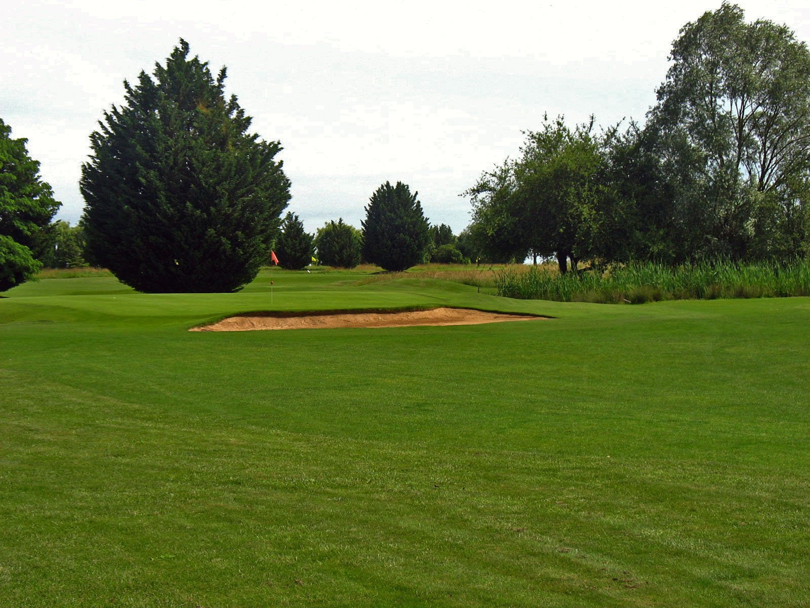 Golf Public du Nivernais - Green et bunkers