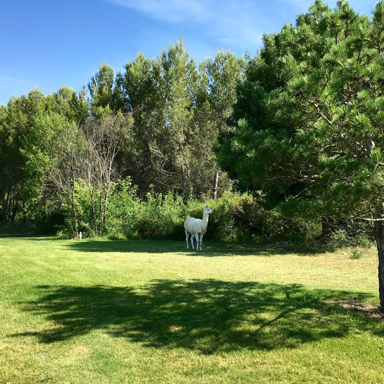Golf Resort Montpellier Fontcaude - Panorama du parcours de golf