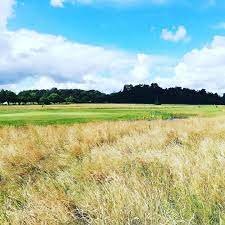 Golf de saint Sylvain d’Anjou - Green et bunkers