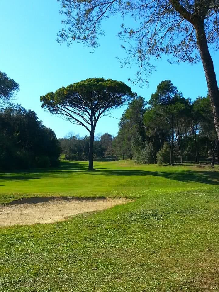 Golf Sophia Country Club - Green et bunkers