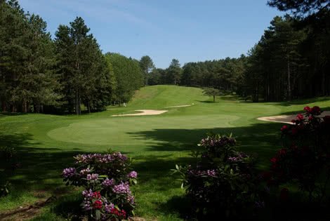 Hardelot les Pins - Fairway et green du parcours