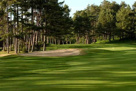 Hardelot les Pins - Green et bunkers