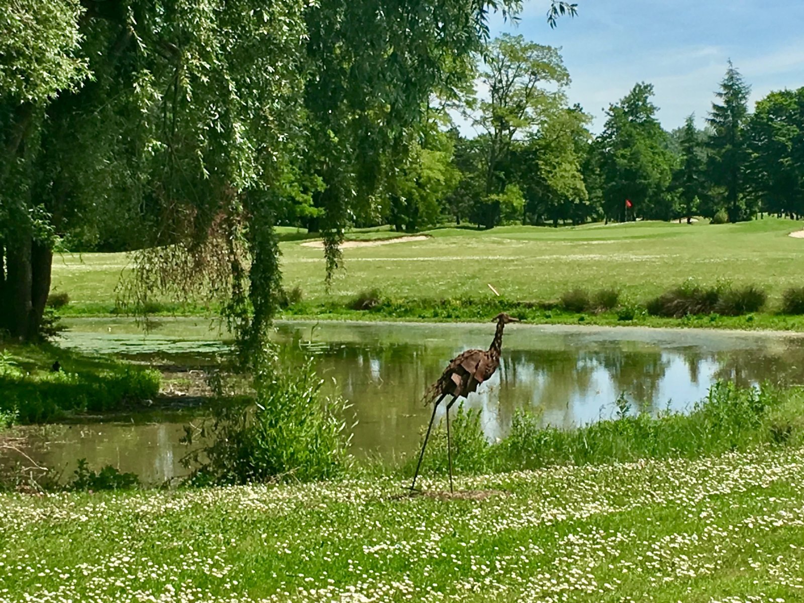 Golf de l’Île Fleurie - Green et bunkers