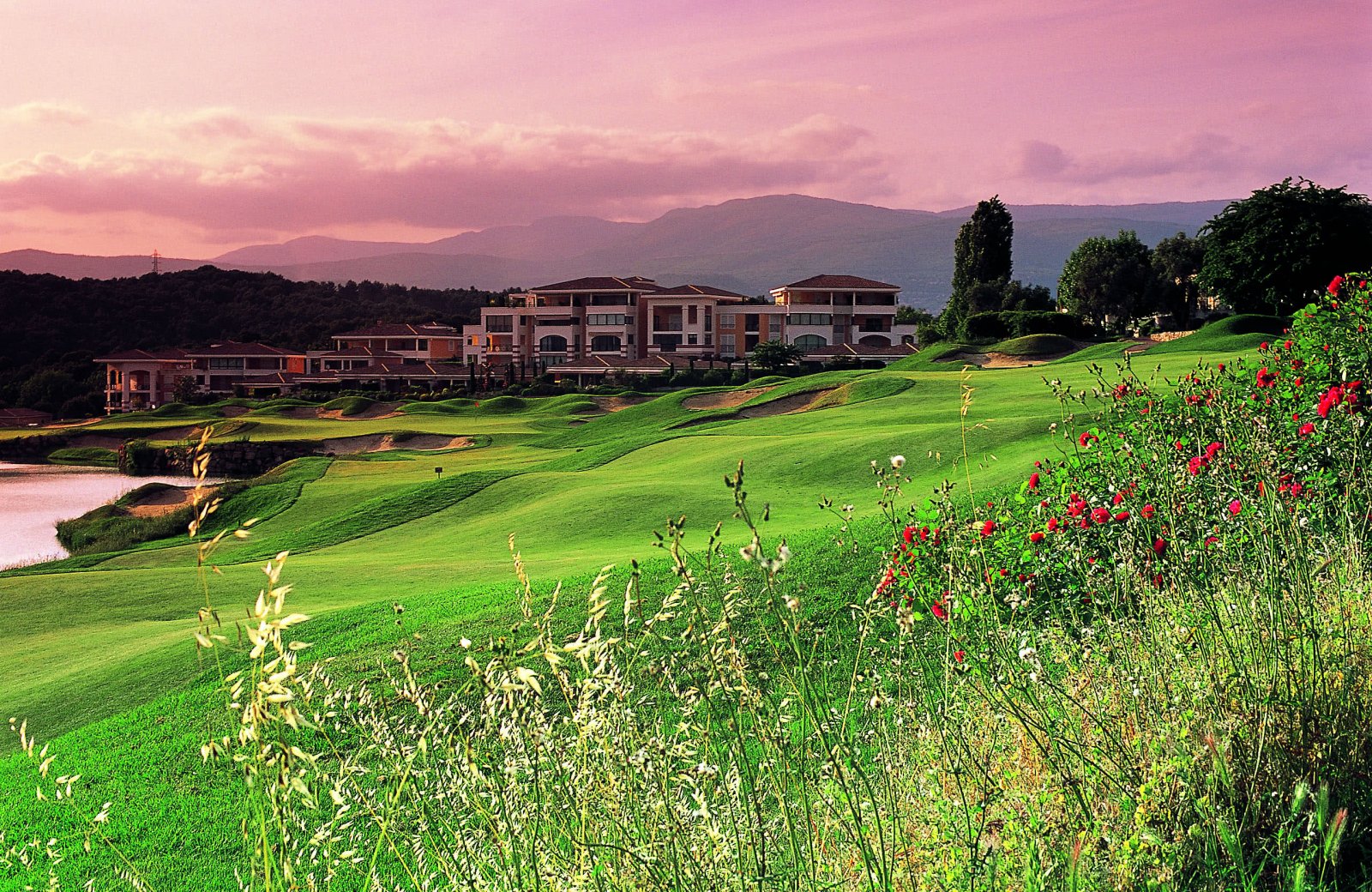Royal Mougins Golf Resort - Green et bunkers