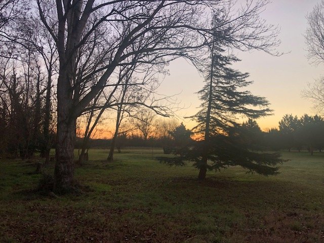 UGolf Toulouse Lou Verdai - Panorama du parcours de golf